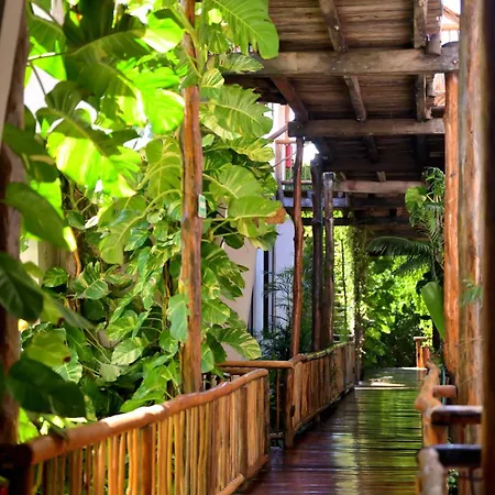 Casa Teka - Boutique Hotel & Cenote-3