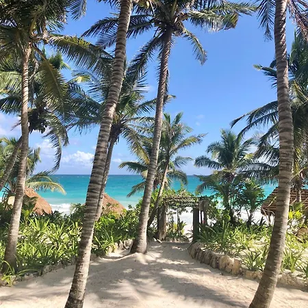 Olas Tulum-2