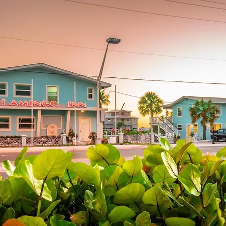 Flamingo Inn-2