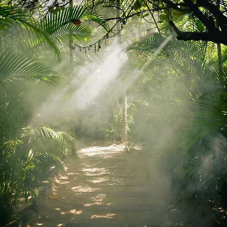 Nomade Temple Tulum-2
