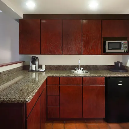 Holiday Inn Corpus Christi Arpt & Conf Ctr By Ihg-3