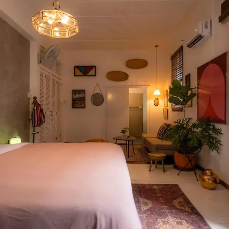 Casa Botanica-3
