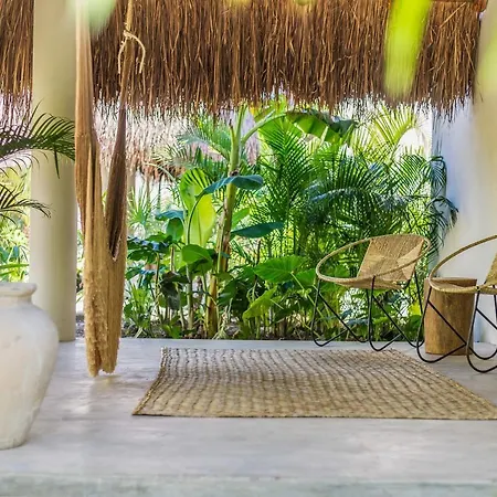 Zenses Wellness And Yoga Resort - Adults Only-2