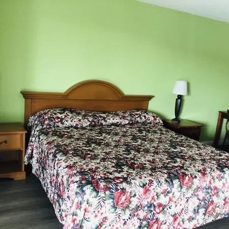 Flamingo Beach Inn-3