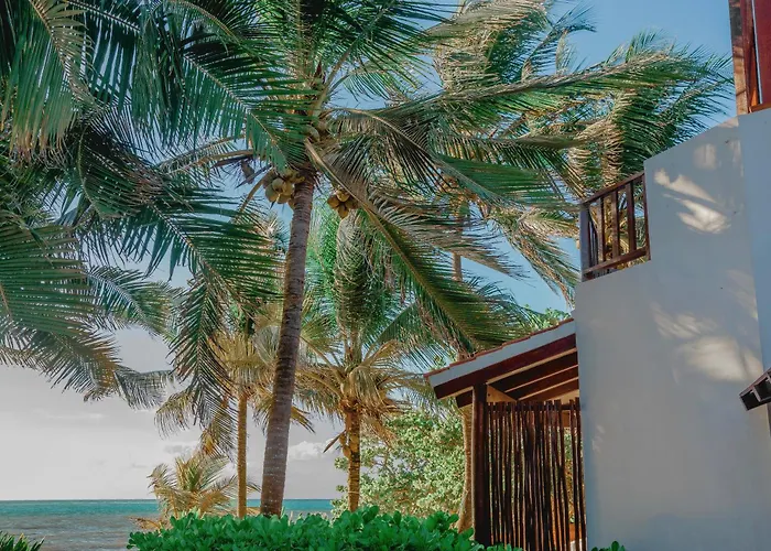 Casa Colibri Tankah Bed & Breakfast Tulum