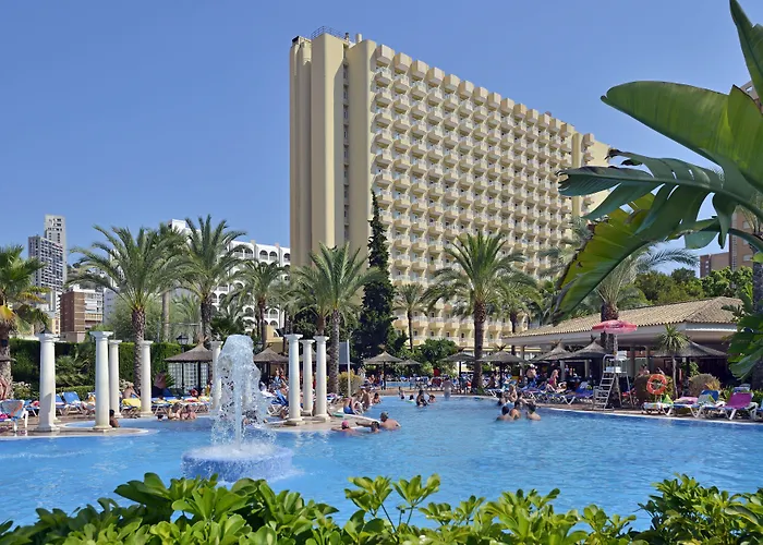 Sol Pelicanos Ocas Benidorm