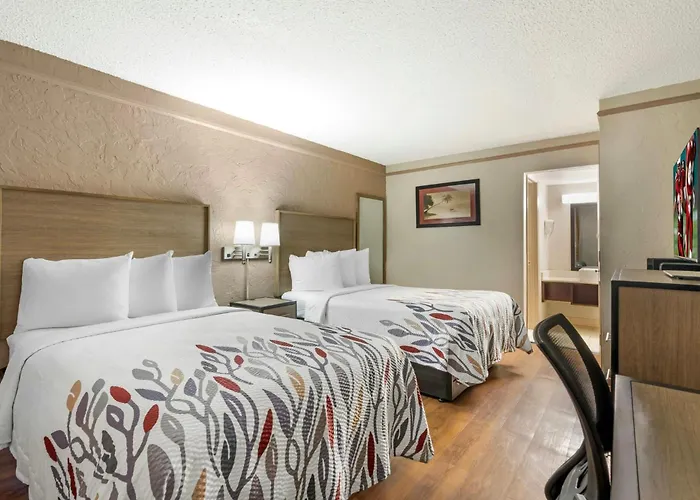 Red Roof Inn Tampa Bay - St. Petersburg
